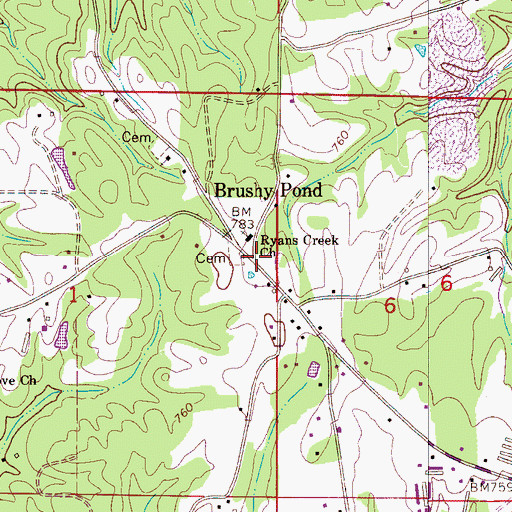 Topographic Map of Brushy Pond, AL