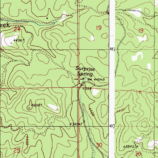 Topographic Map of Surprise Spring, OR