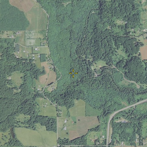 Aerial/Satellite Image of Swagger Creek, OR