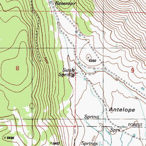 Topographic Map of Swale Springs, OR