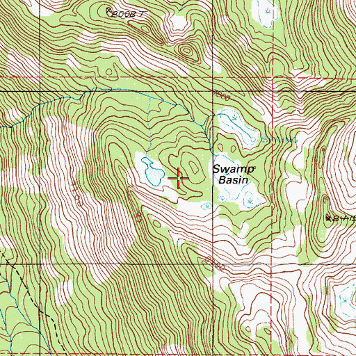 Topographic Map of Swamp Basin, OR