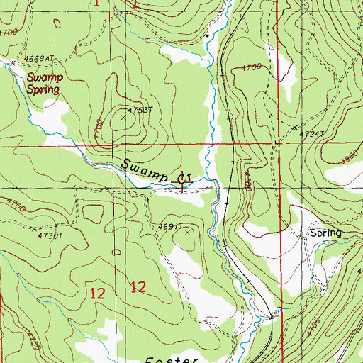 Topographic Map of Swamp Creek, OR