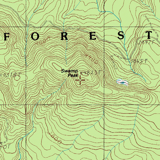Topographic Map of Swamp Peak, OR
