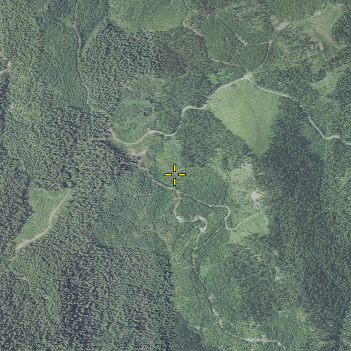 Aerial/Satellite Image of Swamp Peak Trail, OR