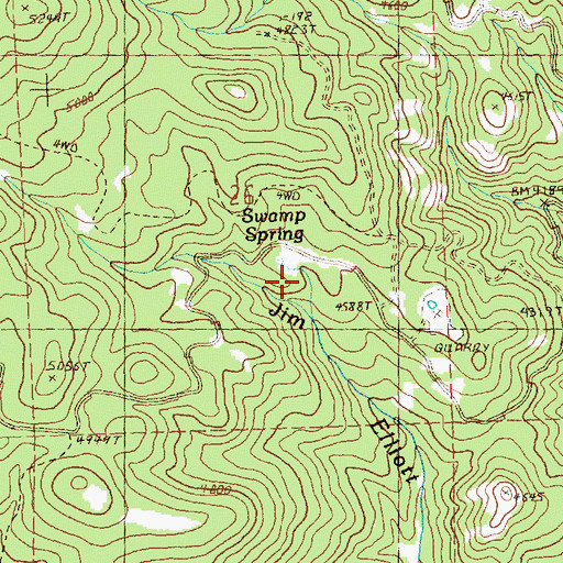 Topographic Map of Swamp Spring, OR