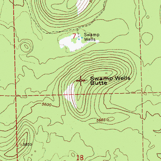 Topographic Map of Swamp Wells Butte, OR