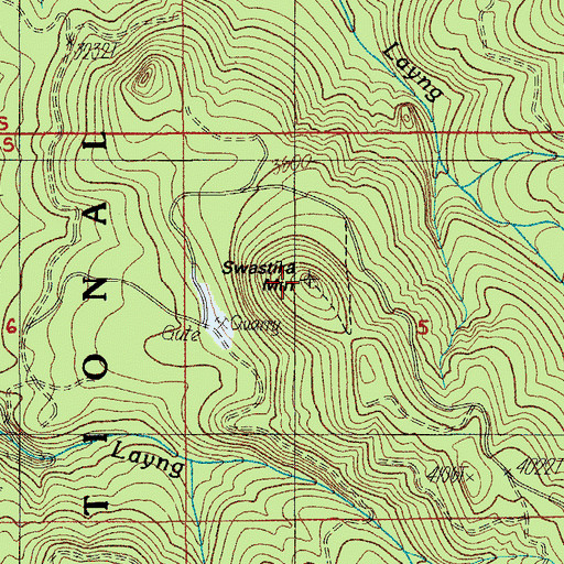 Topographic Map of Swastika Mountain, OR