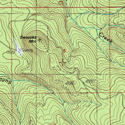 Topographic Map of Swastika Mountain Trail, OR