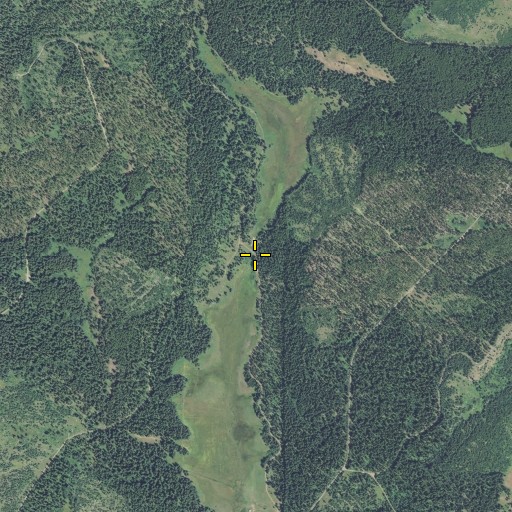 Aerial/Satellite Image of Swikert Meadow, OR