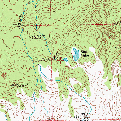Topographic Map of Tam Lake, OR