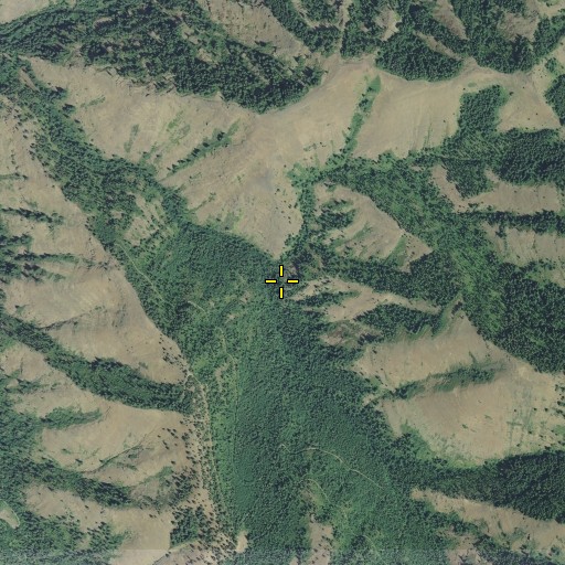 Aerial/Satellite Image of Tamarack Basin, OR