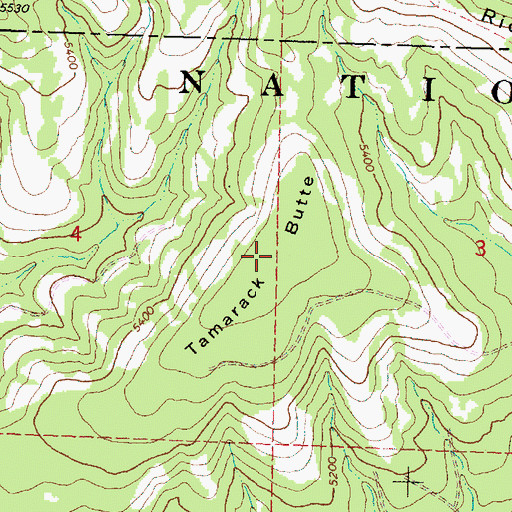 Topographic Map of Tamarack Butte, OR