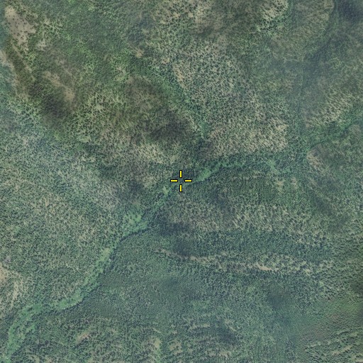Aerial/Satellite Image of Tamarack Creek, OR