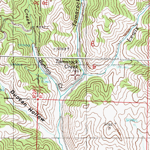 Topographic Map of Tamarack Creek, OR