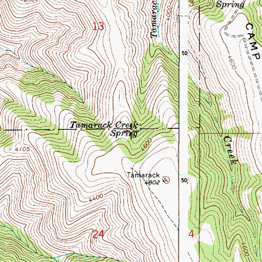 Topographic Map of Tamarack Creek Spring, OR