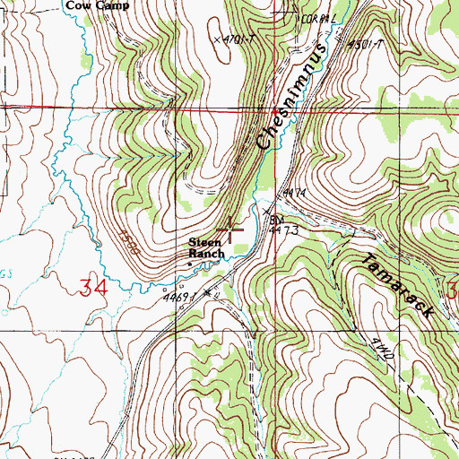 Topographic Map of Tamarack Gulch, OR
