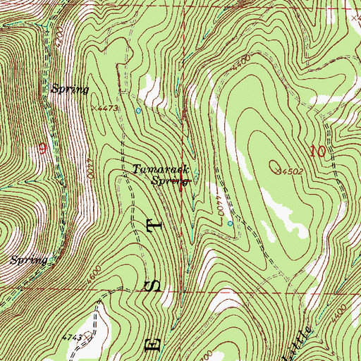 Topographic Map of Tamarack Spring, OR
