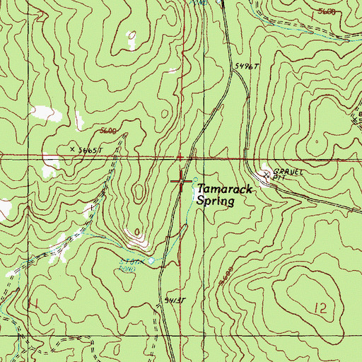 Topographic Map of Tamarack Spring, OR