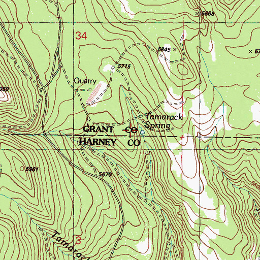 Topographic Map of Tamarack Spring, OR
