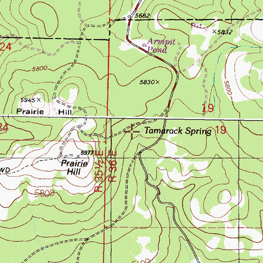 Topographic Map of Tamarack Spring, OR