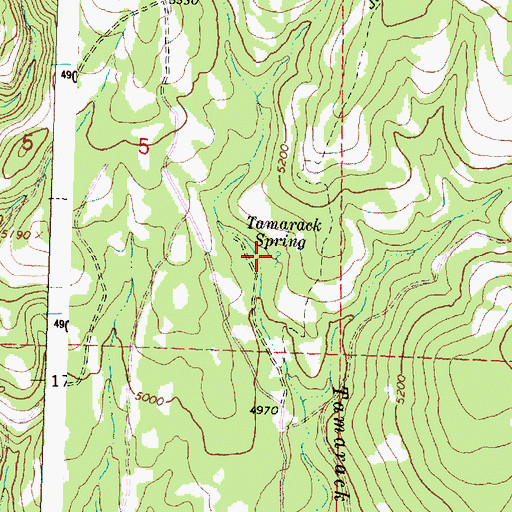 Topographic Map of Tamarack Spring, OR