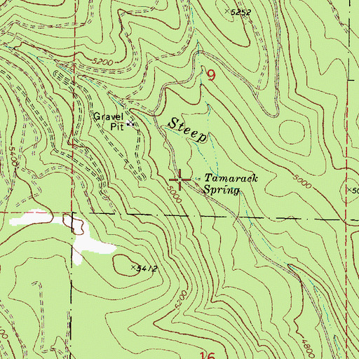 Topographic Map of Tamarack Spring, OR