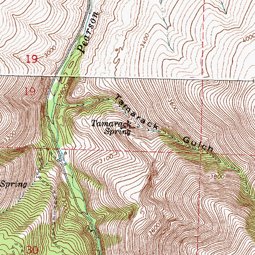 Topographic Map of Tamarack Spring, OR