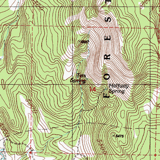Topographic Map of Tats Spring, OR