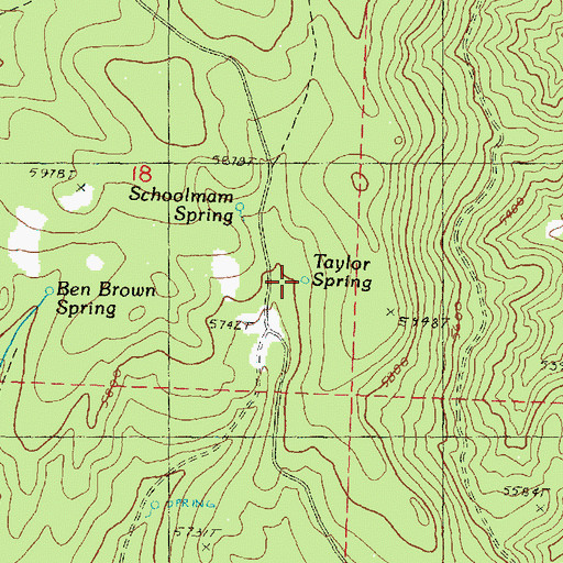 Topographic Map of Taylor Spring, OR