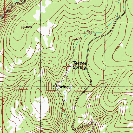 Topographic Map of Teepee Spring, OR