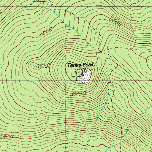 Topographic Map of Tenas Peak, OR