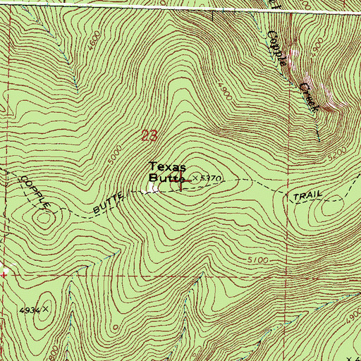 Topographic Map of Texas Butte, OR