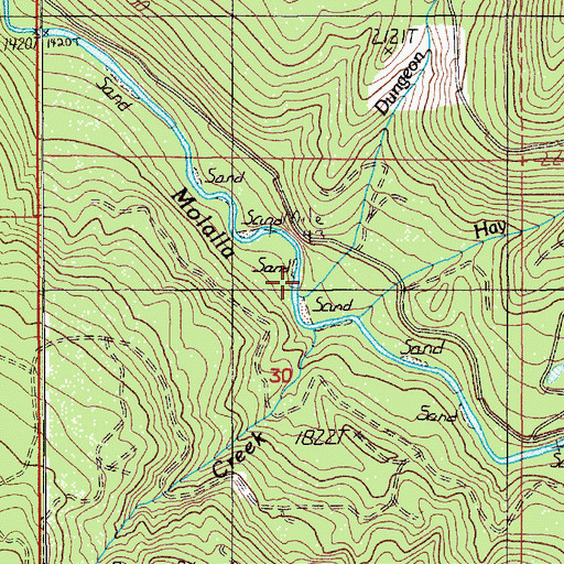Topographic Map of The Dungeon, OR