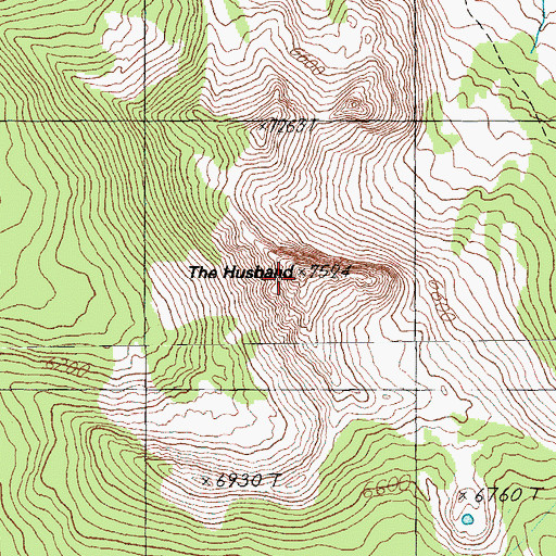 Topographic Map of The Husband, OR