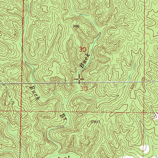 Topographic Map of Buck Branch, AL