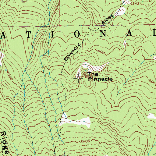 Topographic Map of The Pinnacle, OR