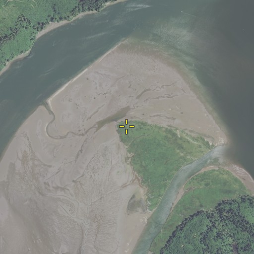 Aerial/Satellite Image of The Point, OR