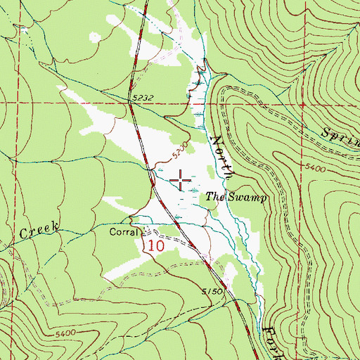 Topographic Map of The Swamp, OR