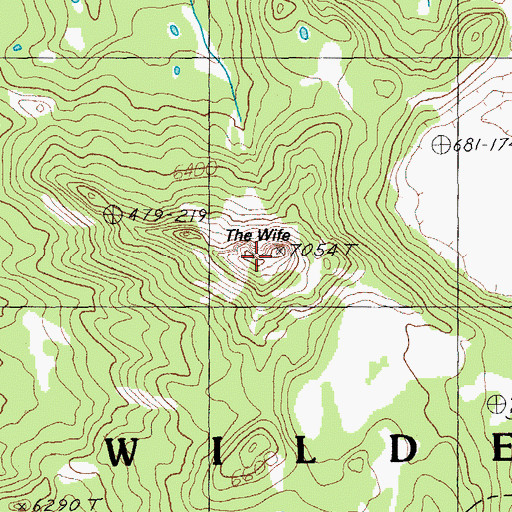 Topographic Map of The Wife, OR