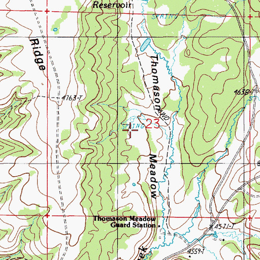 Topographic Map of Thomason Meadow, OR