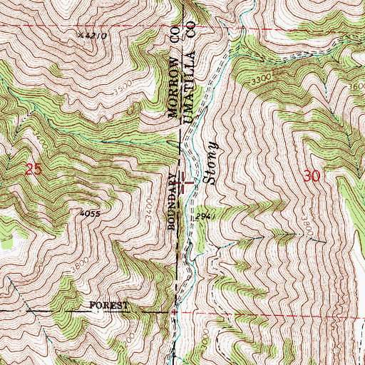 Topographic Map of Thompson Creek, OR