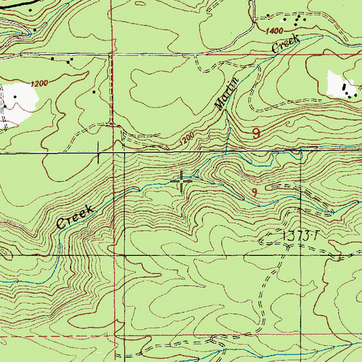 Topographic Map of Thompson Creek, OR