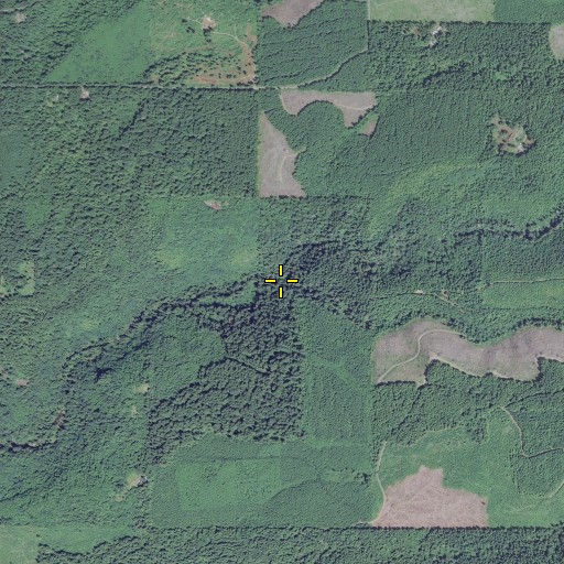 Aerial/Satellite Image of Thompson Creek, OR