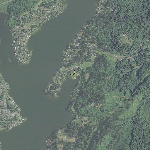 Aerial/Satellite Image of Thompson Creek, OR