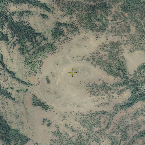 Aerial/Satellite Image of Thompson Flat, OR