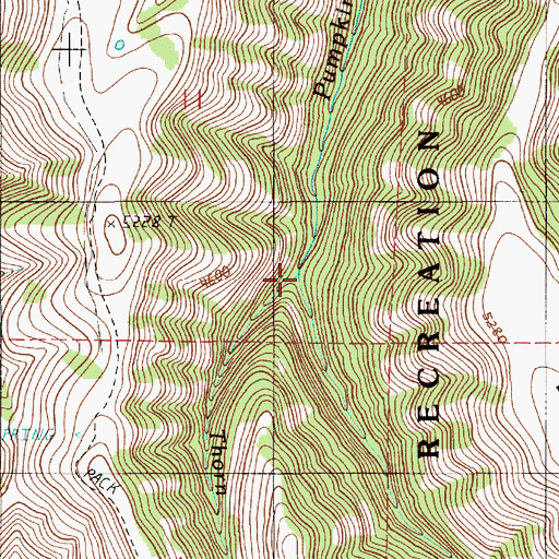 Topographic Map of Thorn Creek, OR