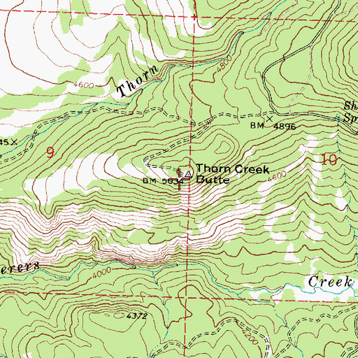 Topographic Map of Thorn Creek Butte, OR