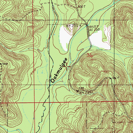 Topographic Map of Buck Creek, AL