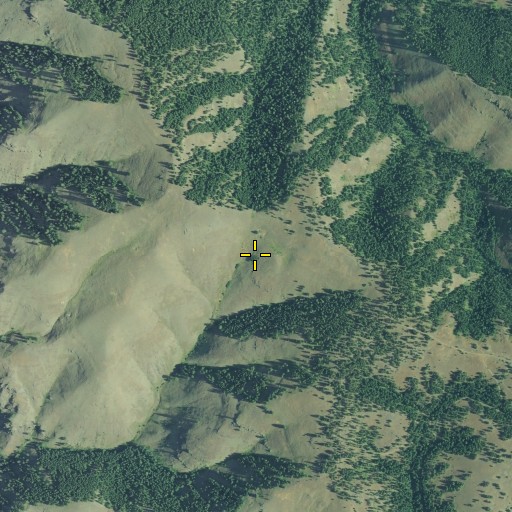 Aerial/Satellite Image of Thorn Patch Spring, OR
