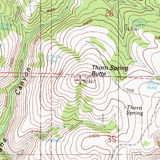 Topographic Map of Thorn Spring Butte, OR